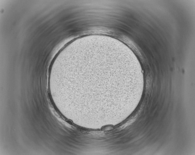 X0000086110844200704202304