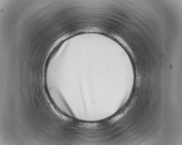 X0000086110845200704202304