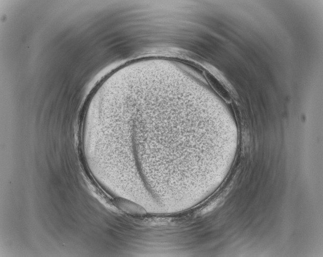 X0000086110846200704202304