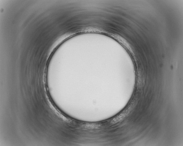 X0000086110847200704202304