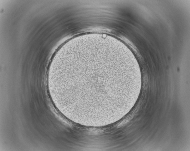 X0000086110848200704202304