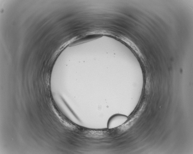 X0000086110849200704202304