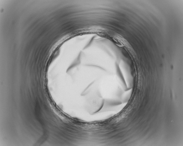 X0000086110850200704202304