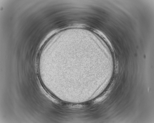 X0000086110851200704202304