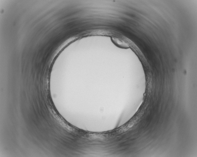 X0000086110852200704202304