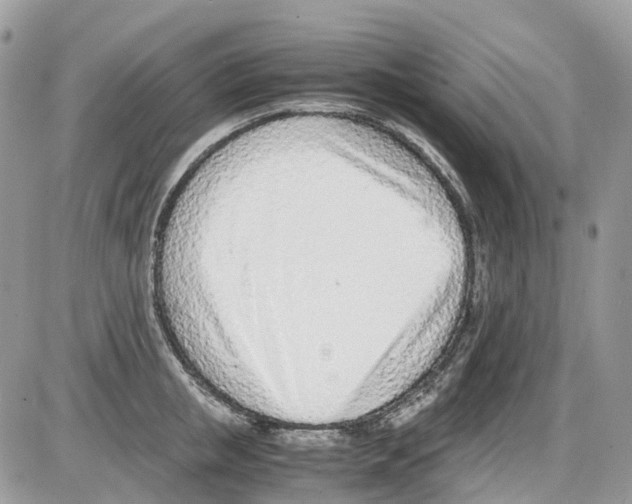 X0000086110853200704202304