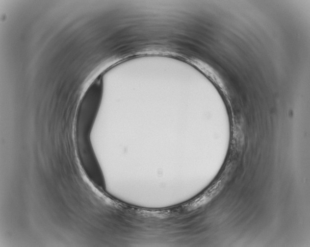 X0000086110855200704202304