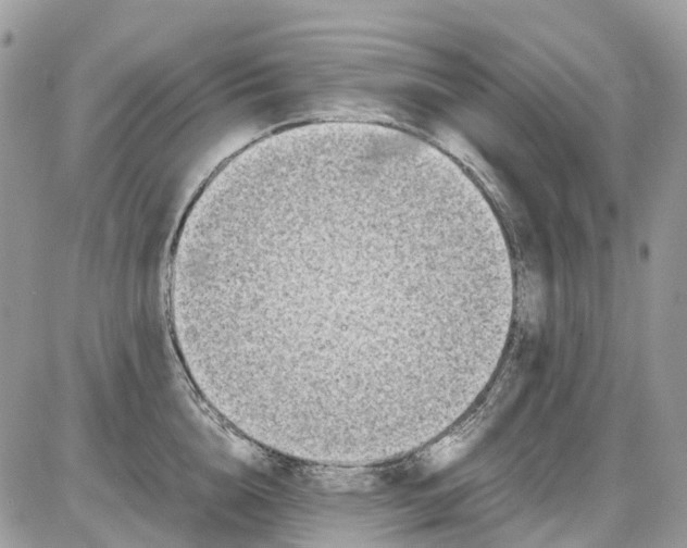 X0000086110856200704202304