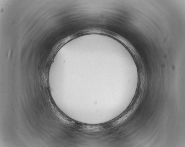 X0000086110857200704202304