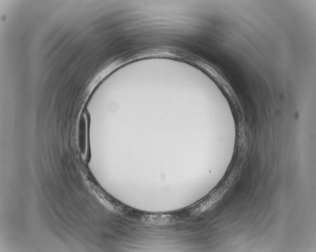 X0000086110858200704202304