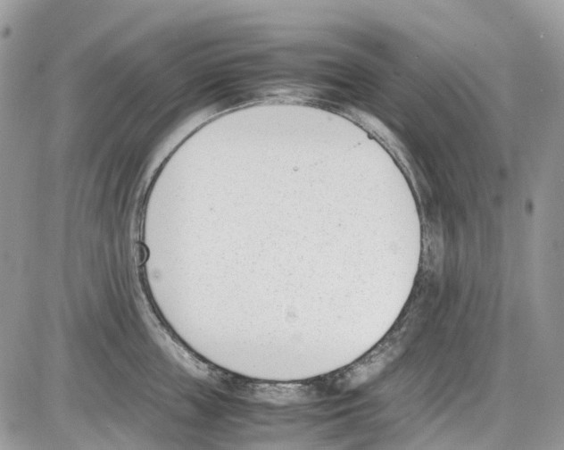 X0000086110859200704202304