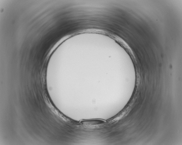 X0000086110860200704202304