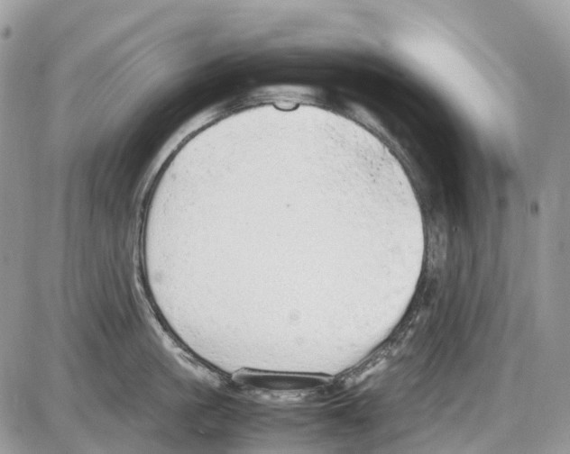 X0000086110861200704202304