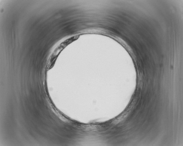 X0000086110862200704202304