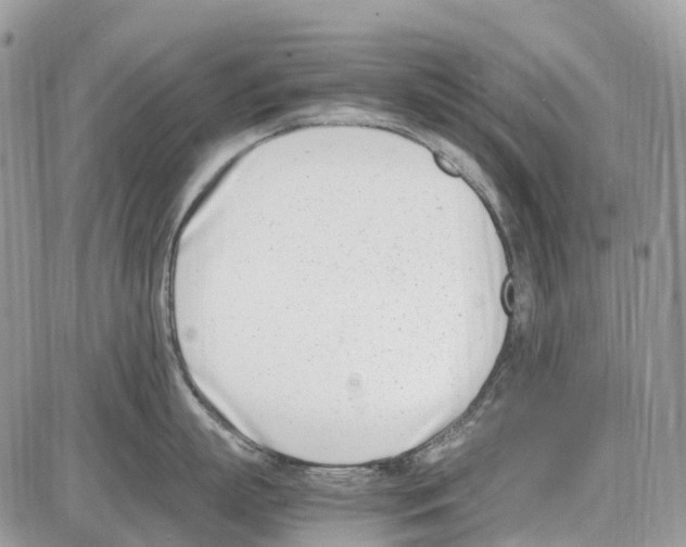 X0000086110863200704202304