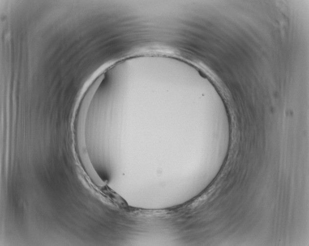 X0000086110864200704202304