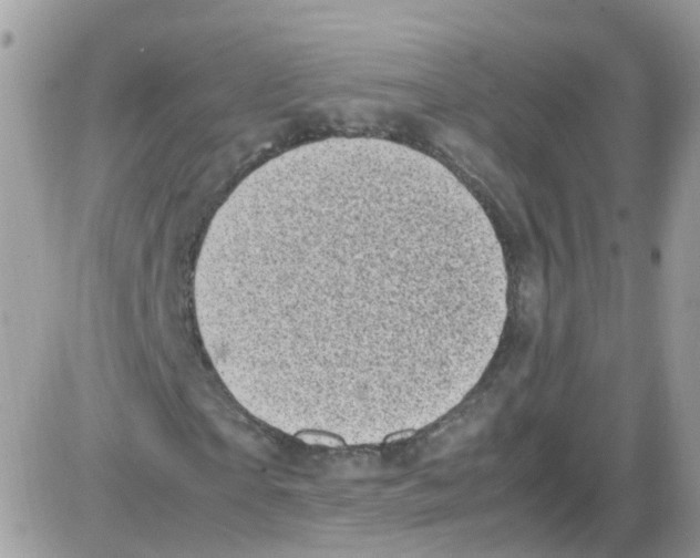 X0000086110865200704202303