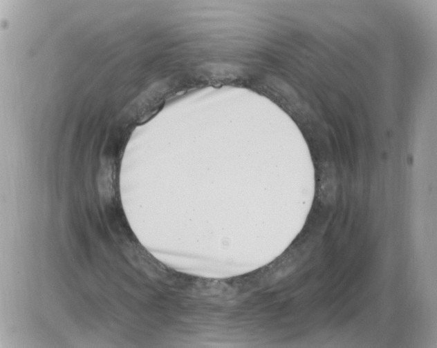 X0000086110866200704202303