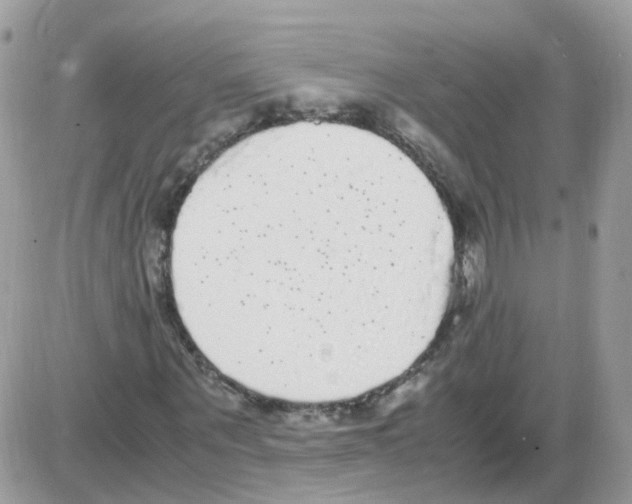 X0000086110867200704202303