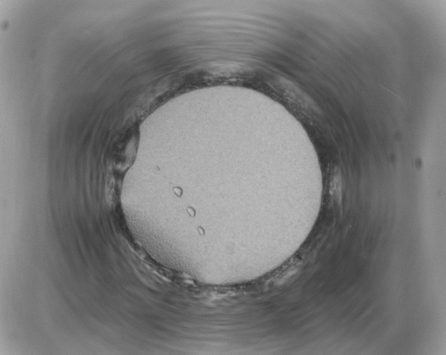 X0000086110868200704202303