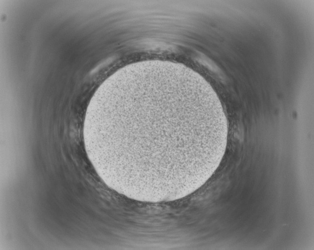 X0000086110869200704202303