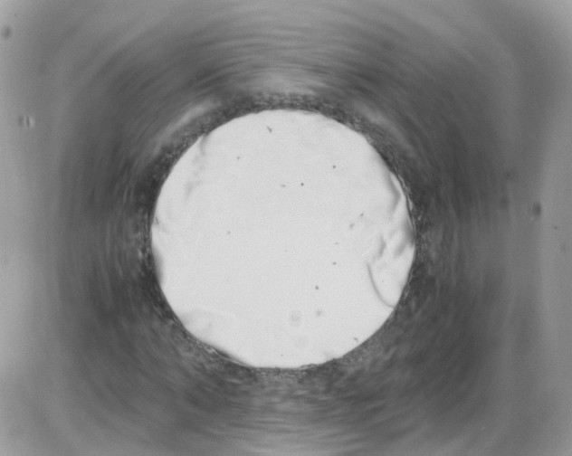 X0000086110870200704202303