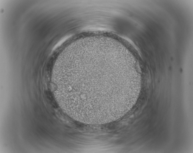 X0000086110871200704202303