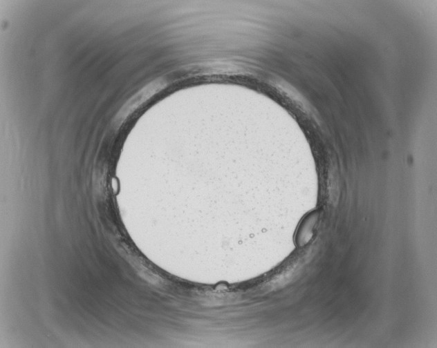 X0000086110873200704202303