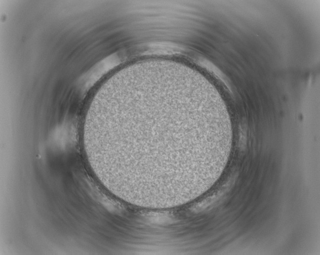 X0000086110874200704202303