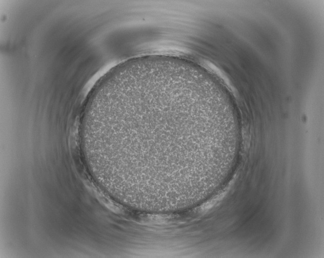 X0000086110875200704202303