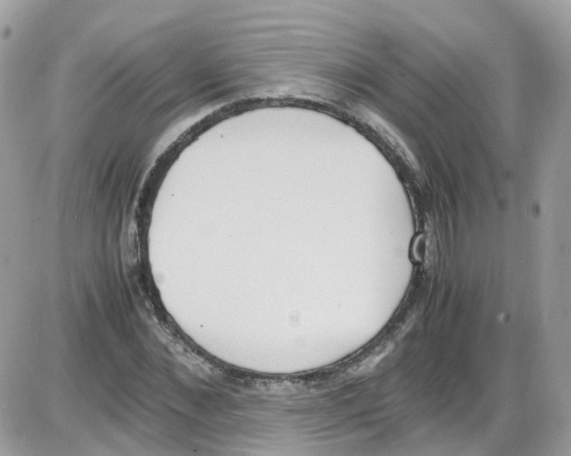 X0000086110876200704202303