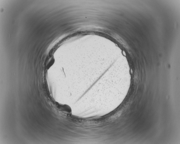 X0000086110877200704202303