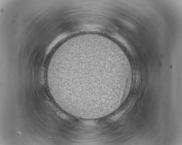 X0000086110878200704202303