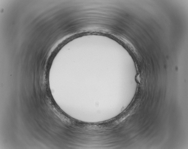 X0000086110880200704202303