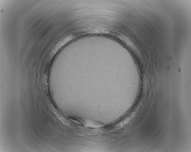 X0000086110881200704202303