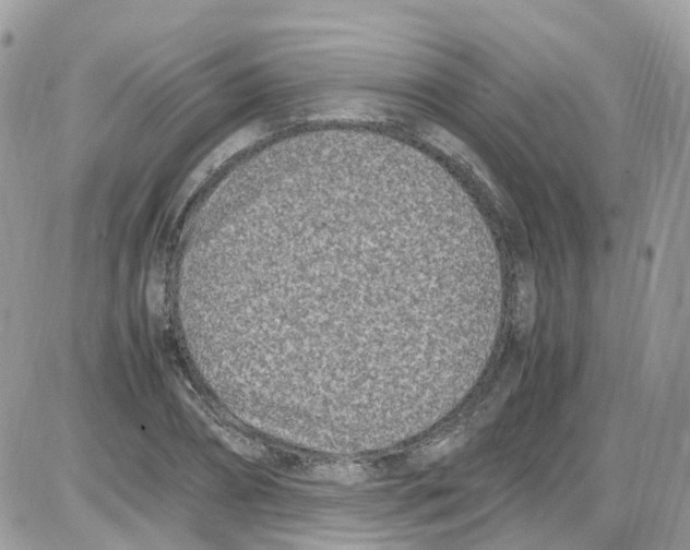 X0000086110882200704202303