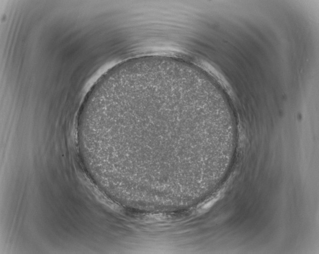 X0000086110883200704202303