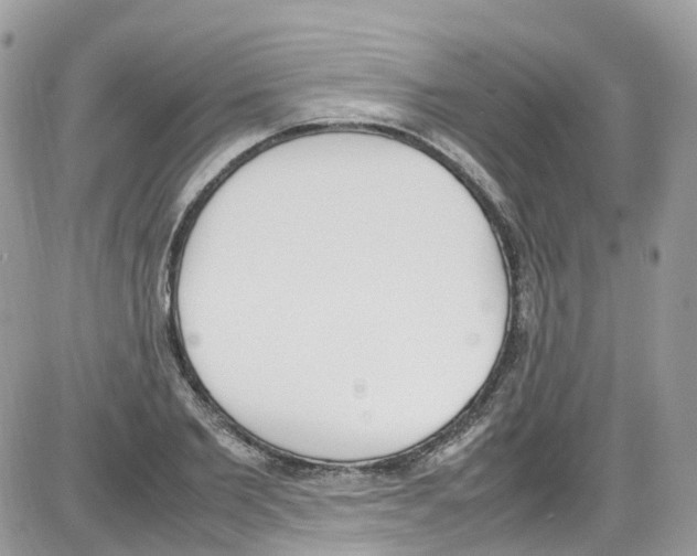 X0000086110885200704202303