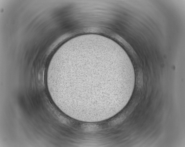 X0000086110886200704202303