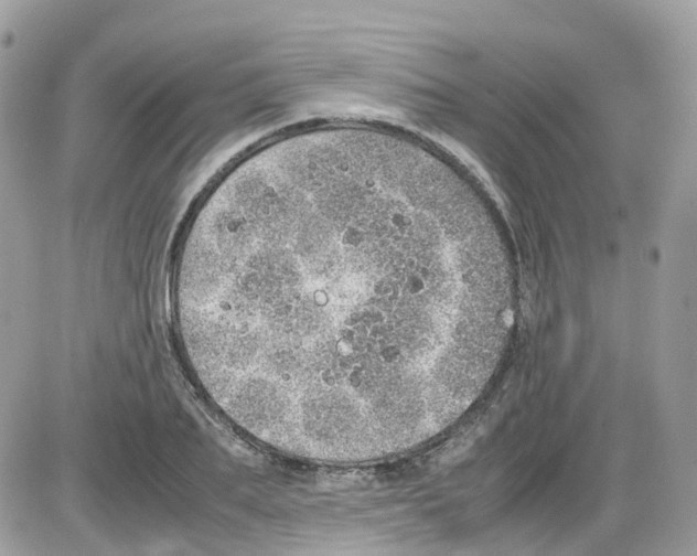 X0000086110887200704202303