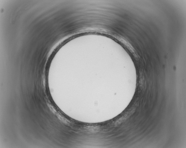 X0000086110888200704202303