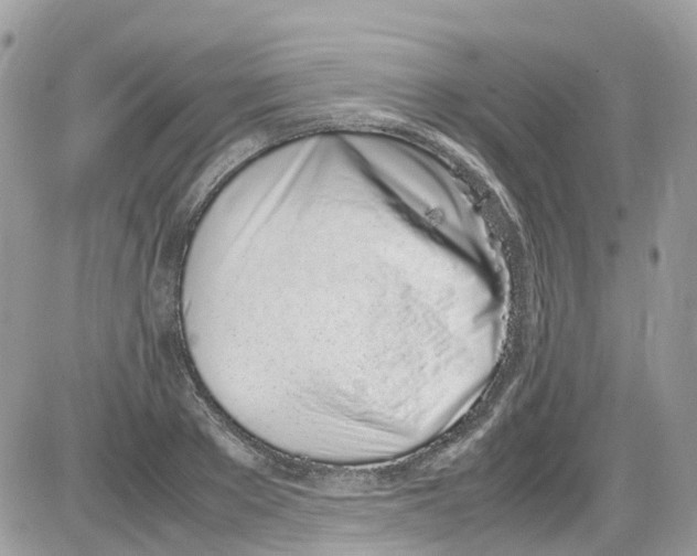 X0000086110889200704202303