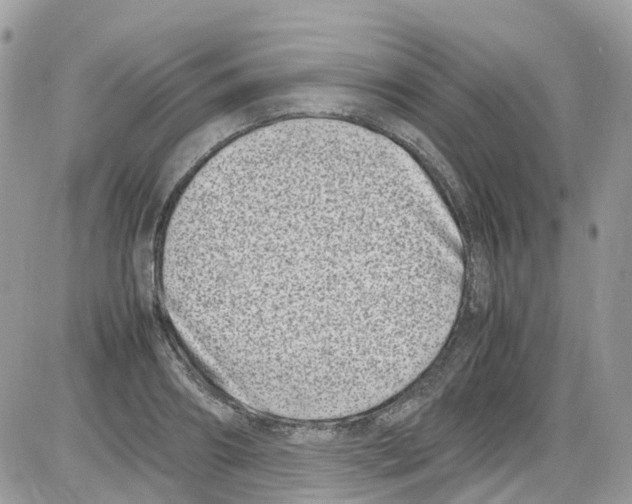 X0000086110890200704202303