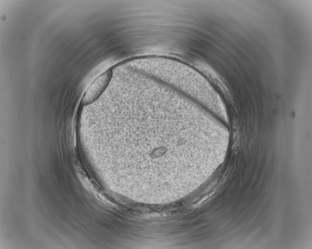 X0000086110892200704202303