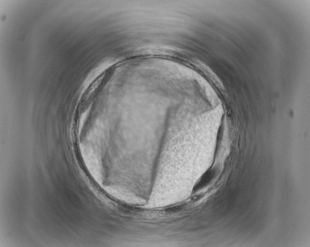 X0000086110893200704202303