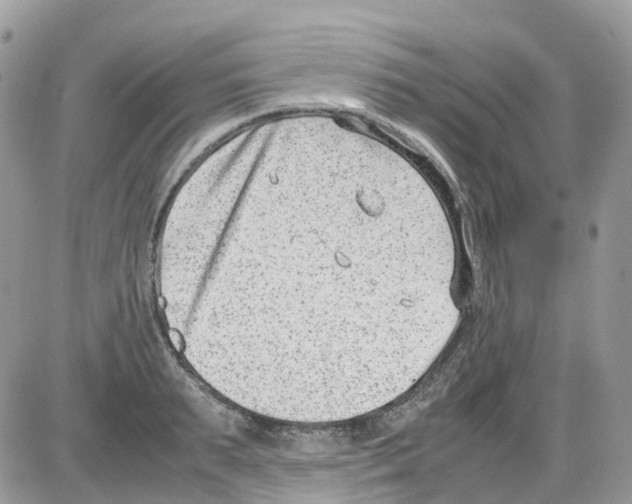 X0000086110895200704202303