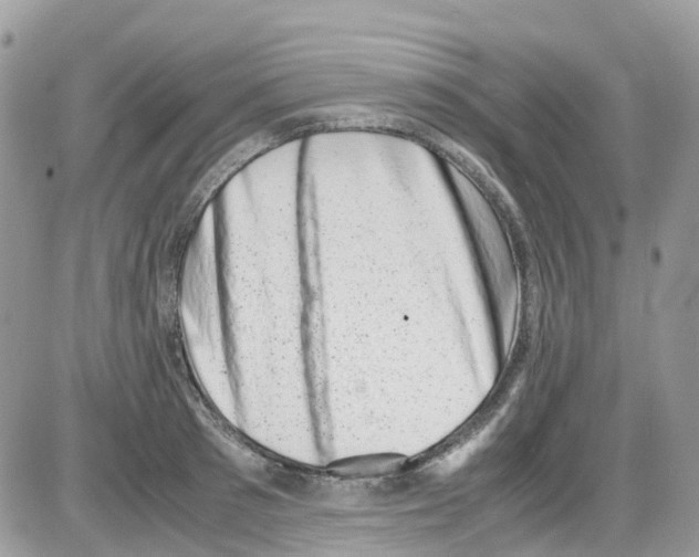 X0000086110897200704202303