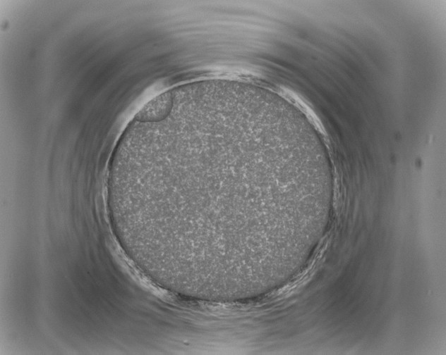 X0000086110899200704202303