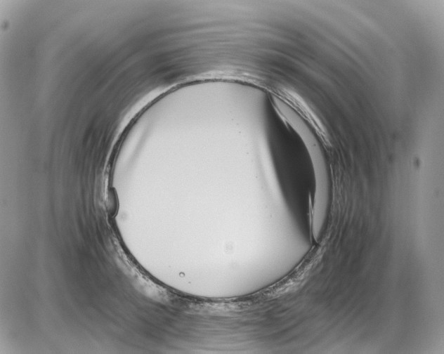 X0000086110900200704202303