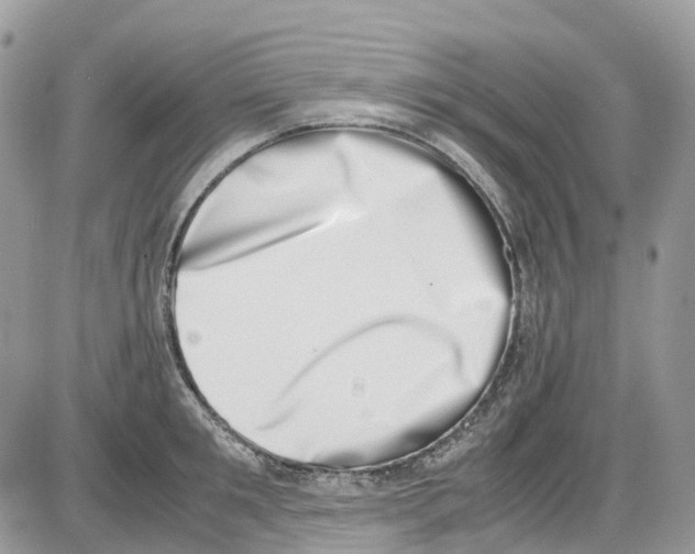 X0000086110901200704202303